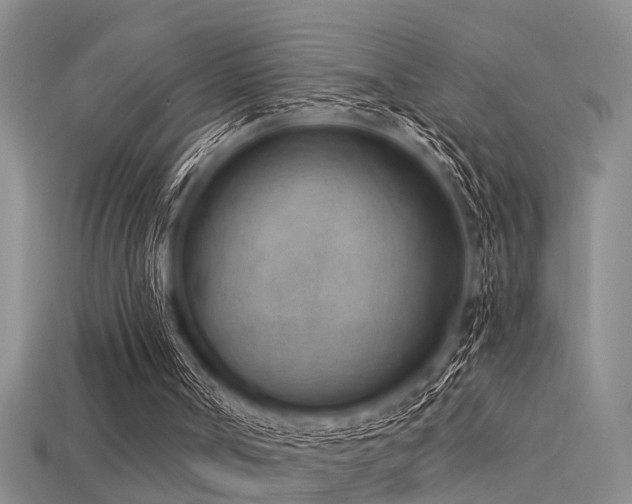 X0000115850002200911131601