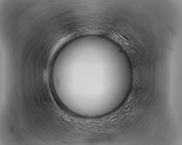X0000115850003200911131601