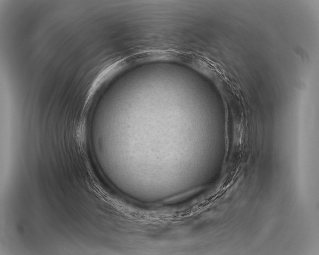 X0000115850004200911131601