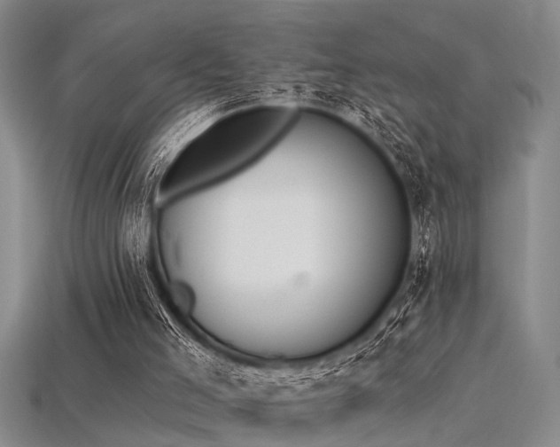 X0000115850005200911131601