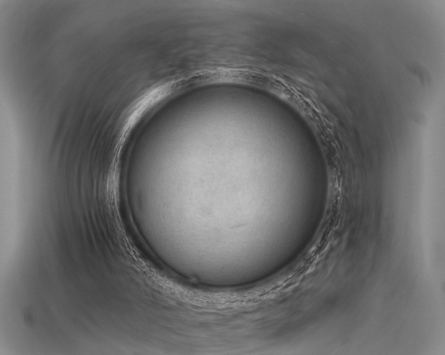 X0000115850006200911131601