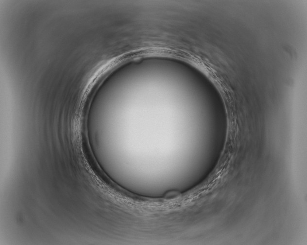 X0000115850007200911131601