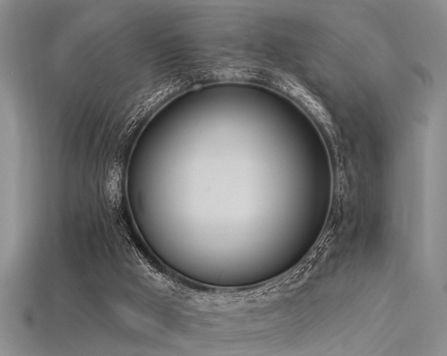 X0000115850009200911131601