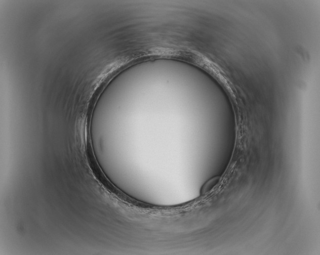 X0000115850011200911131601