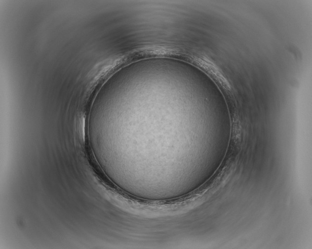 X0000115850014200911131601