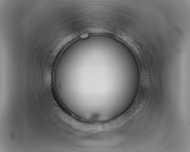 X0000115850015200911131601