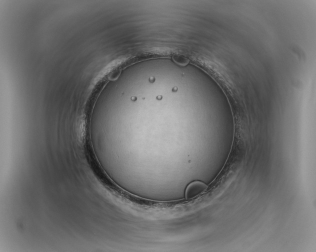 X0000115850016200911131601