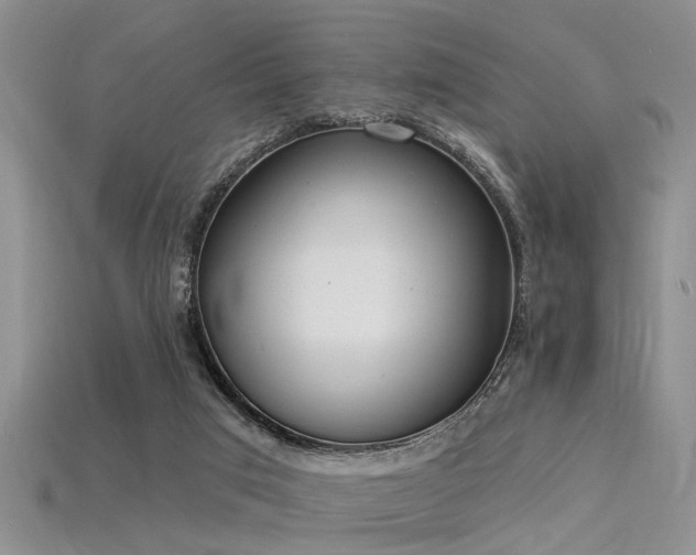 X0000115850017200911131601