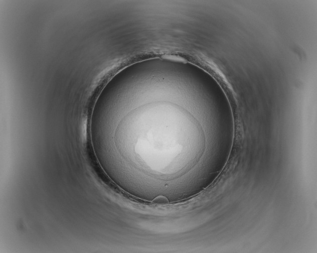 X0000115850019200911131601