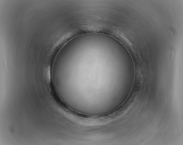 X0000115850020200911131601