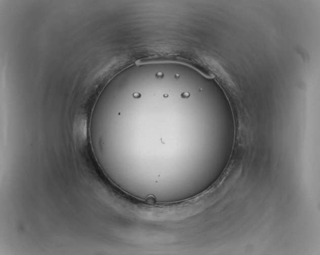 X0000115850021200911131601