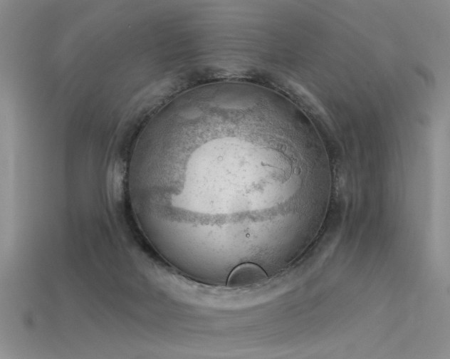 X0000115850026200911131601
