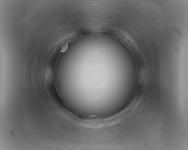 X0000115850029200911131601