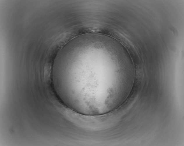 X0000115850030200911131601