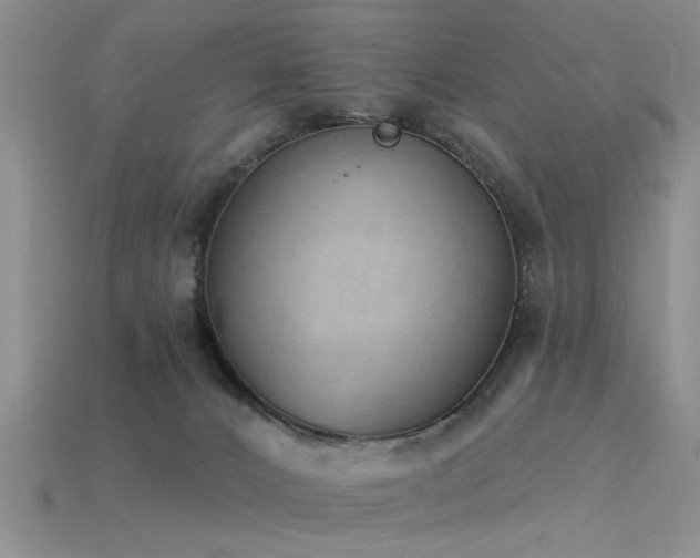 X0000115850032200911131601