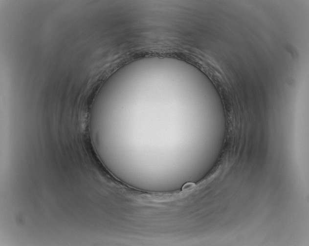X0000115850033200911131601