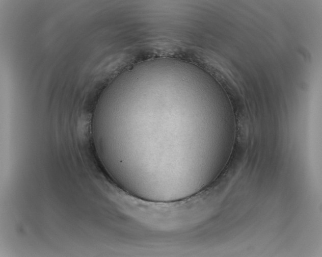 X0000115850034200911131601