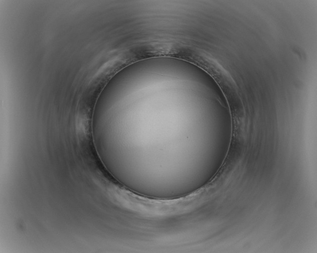 X0000115850035200911131601