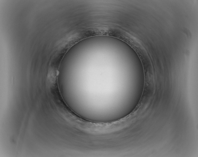 X0000115850037200911131601