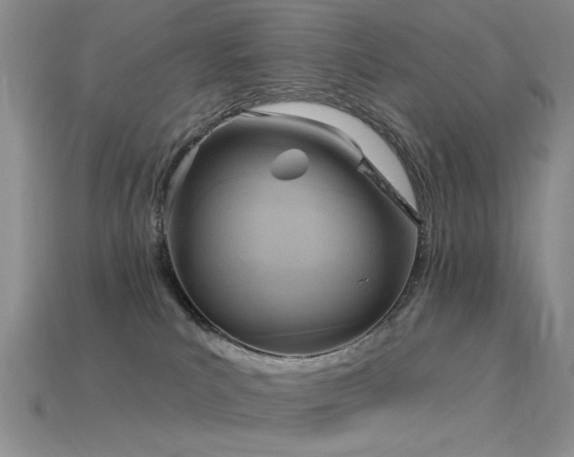 X0000115850039200911131601