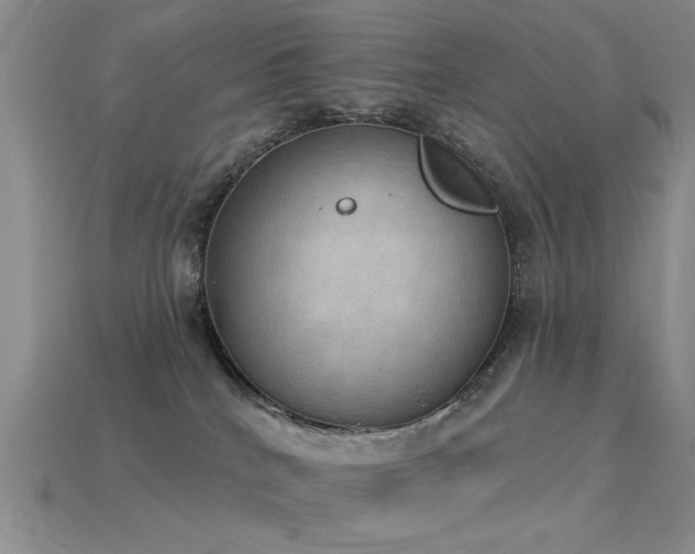 X0000115850040200911131601