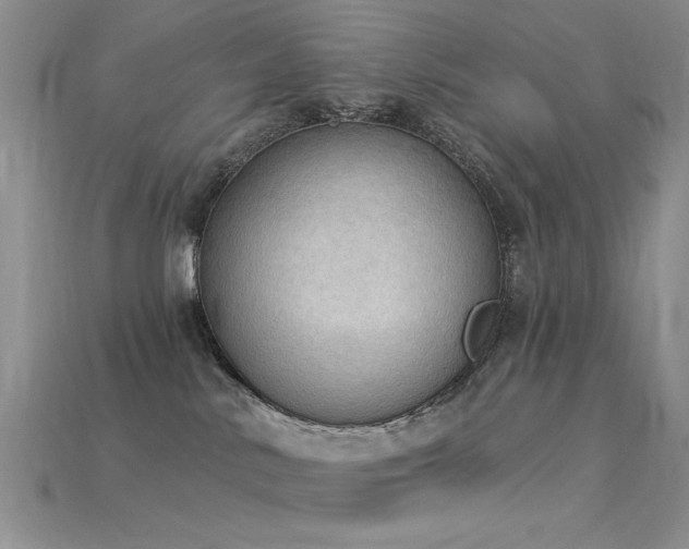 X0000115850042200911131600