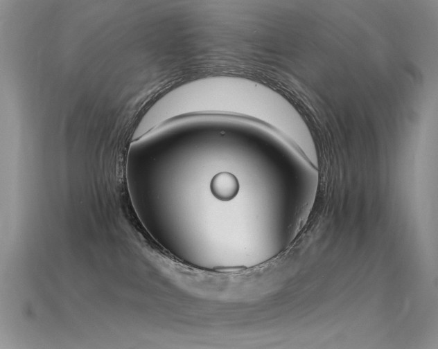X0000115850043200911131600
