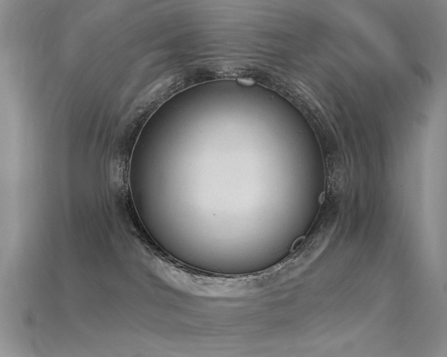 X0000115850044200911131600