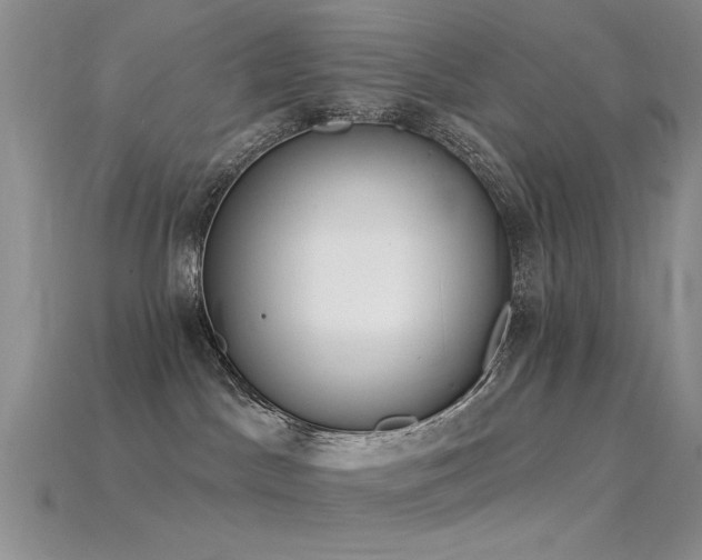 X0000115850045200911131600