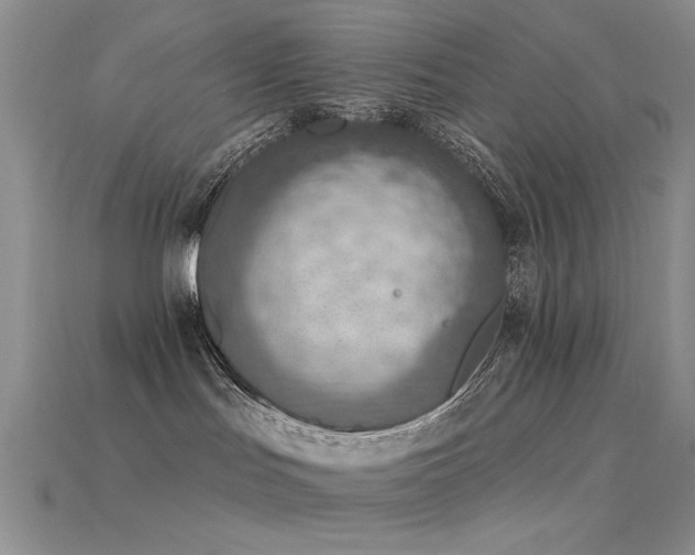 X0000115850047200911131600