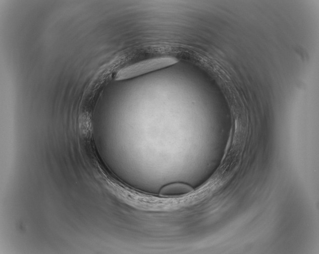 X0000115850048200911131600