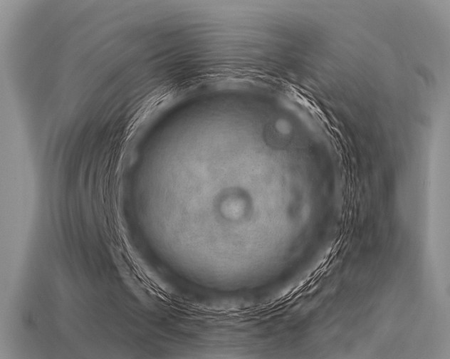 X0000115850049200911131600