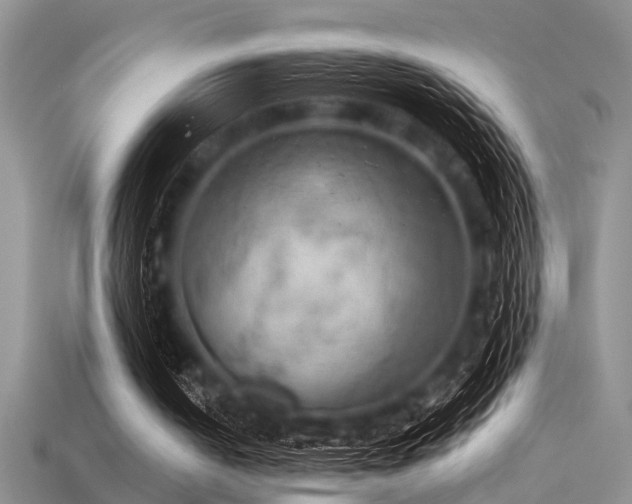 X0000115850050200911131600