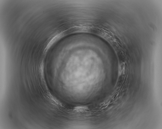 X0000115850051200911131600