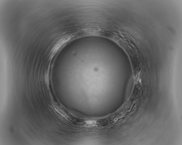 X0000115850052200911131600