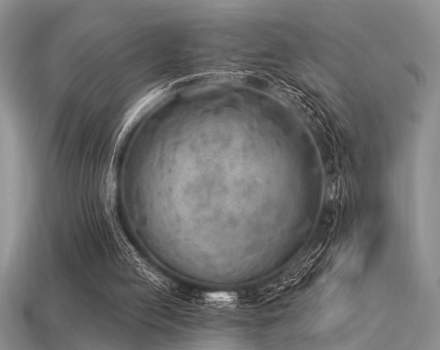 X0000115850053200911131600