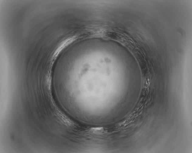 X0000115850054200911131600