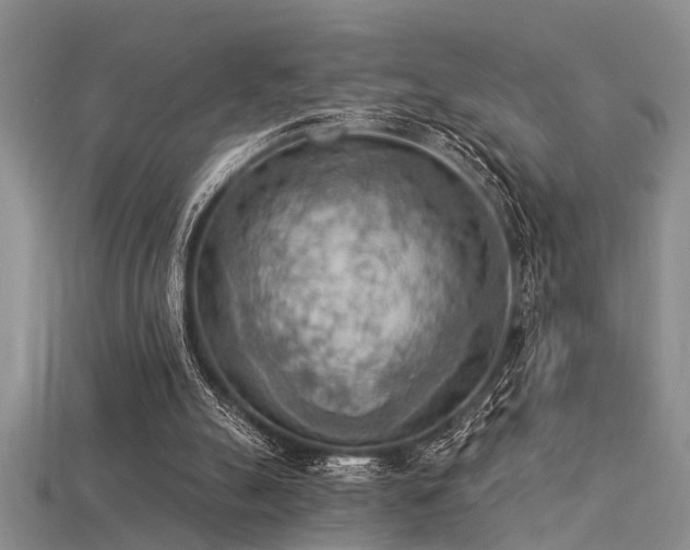X0000115850055200911131600