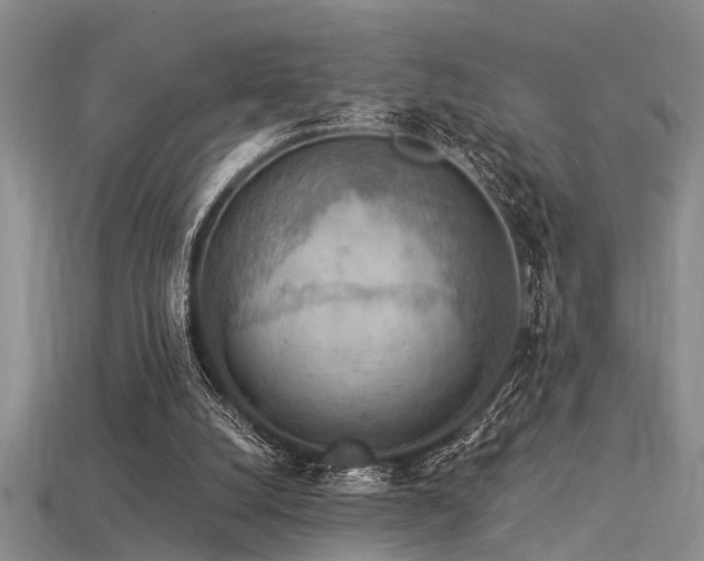 X0000115850056200911131600