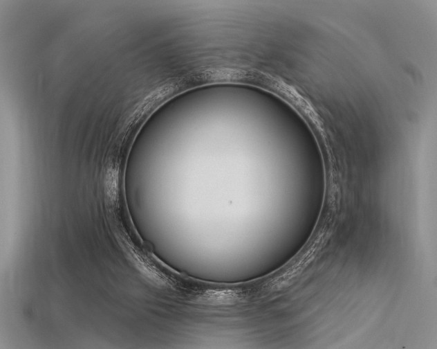 X0000115850057200911131600