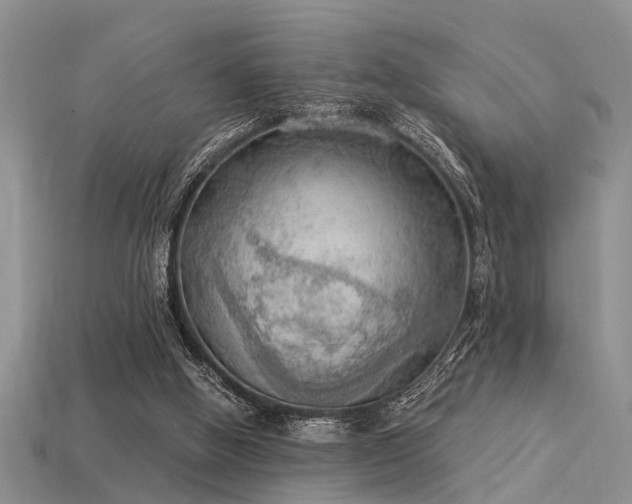 X0000115850058200911131600
