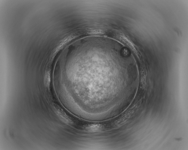 X0000115850059200911131600