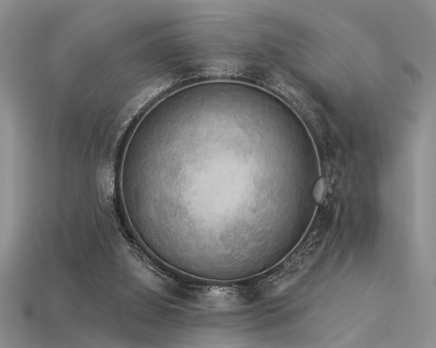 X0000115850060200911131600