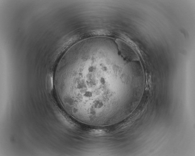 X0000115850061200911131600