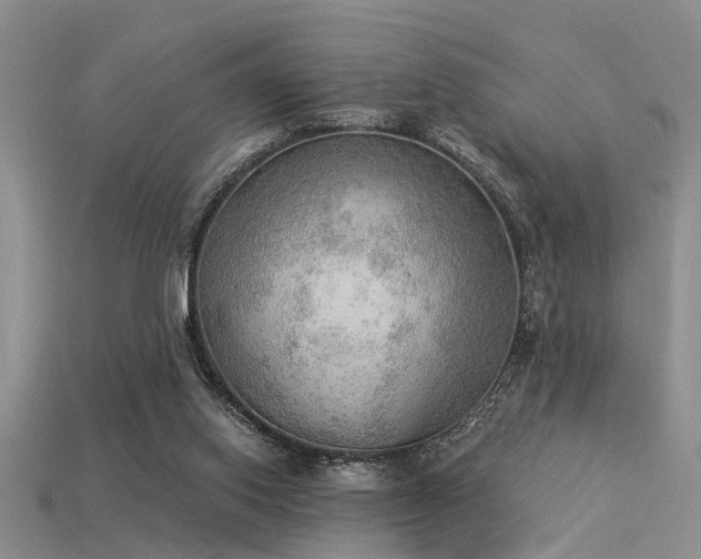 X0000115850062200911131600