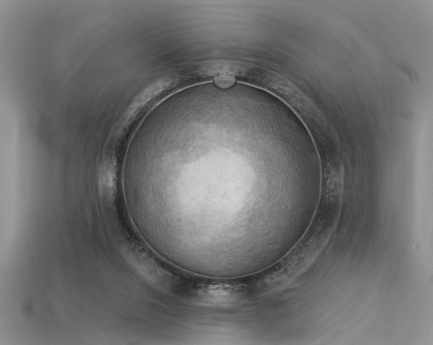 X0000115850064200911131600