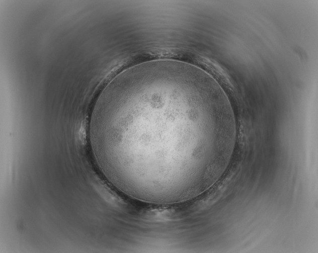 X0000115850065200911131600