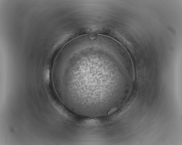 X0000115850067200911131600