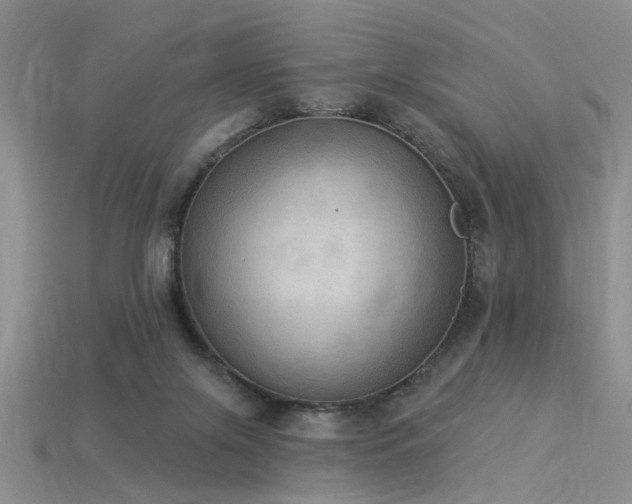 X0000115850071200911131600