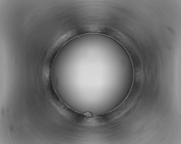 X0000115850072200911131600